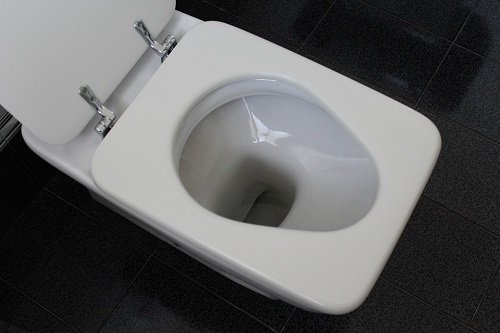 A clean toilet bowl