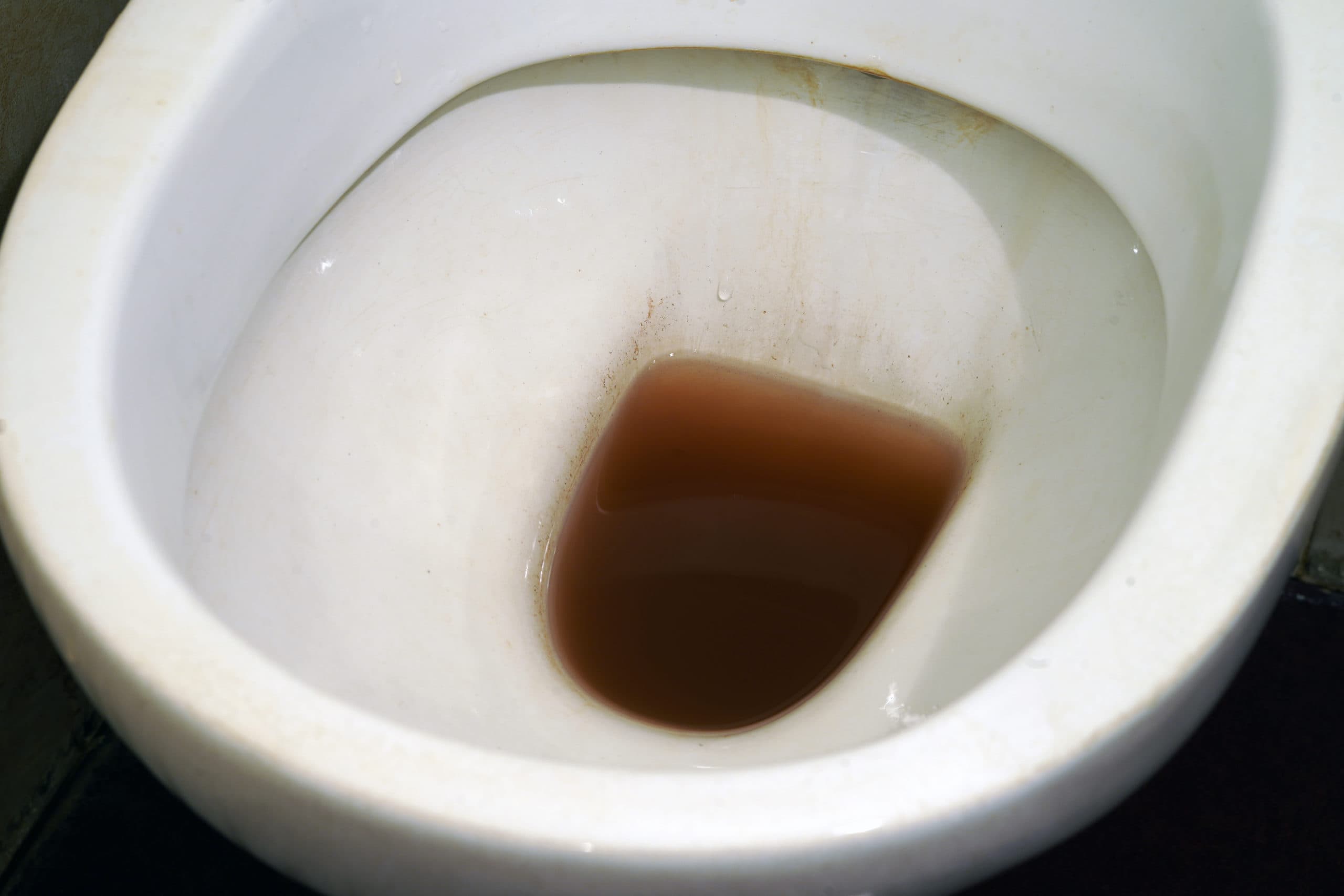Rusty brown water in the toilet.