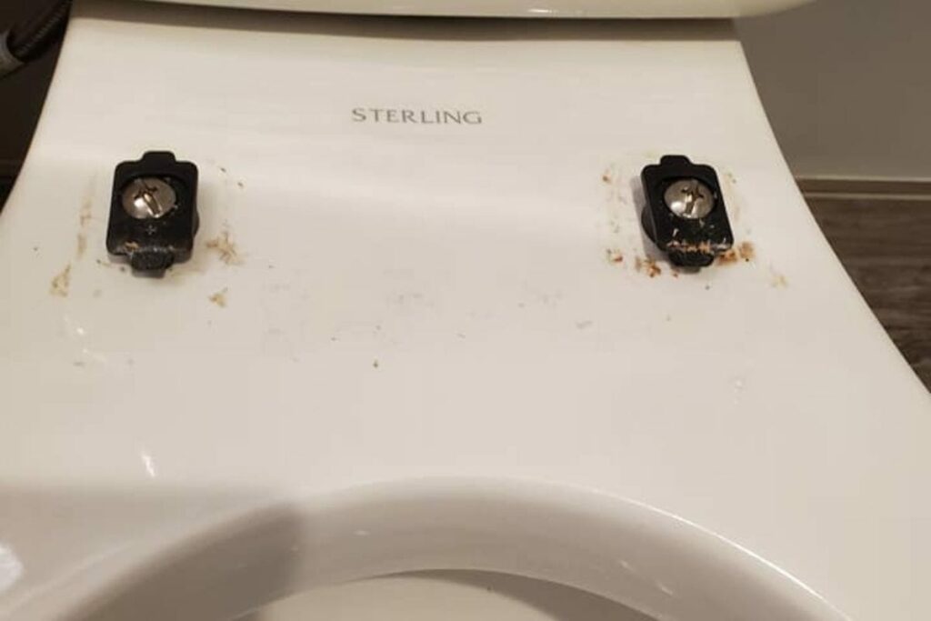 dirty toilet hinges
