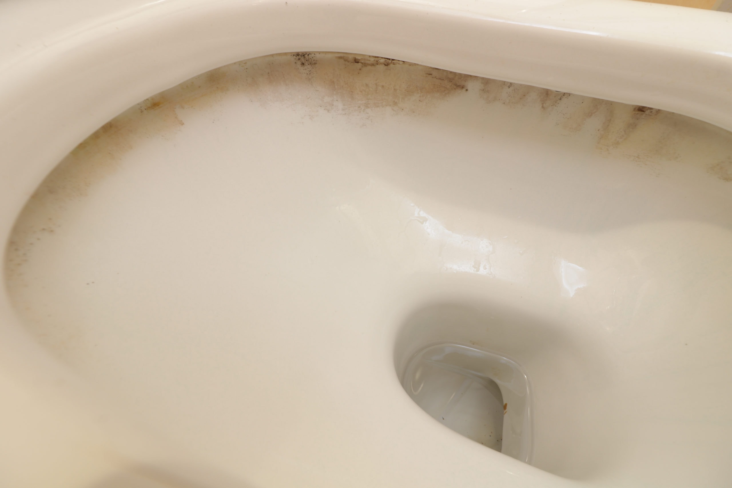 Dirty limescale below toilet rim