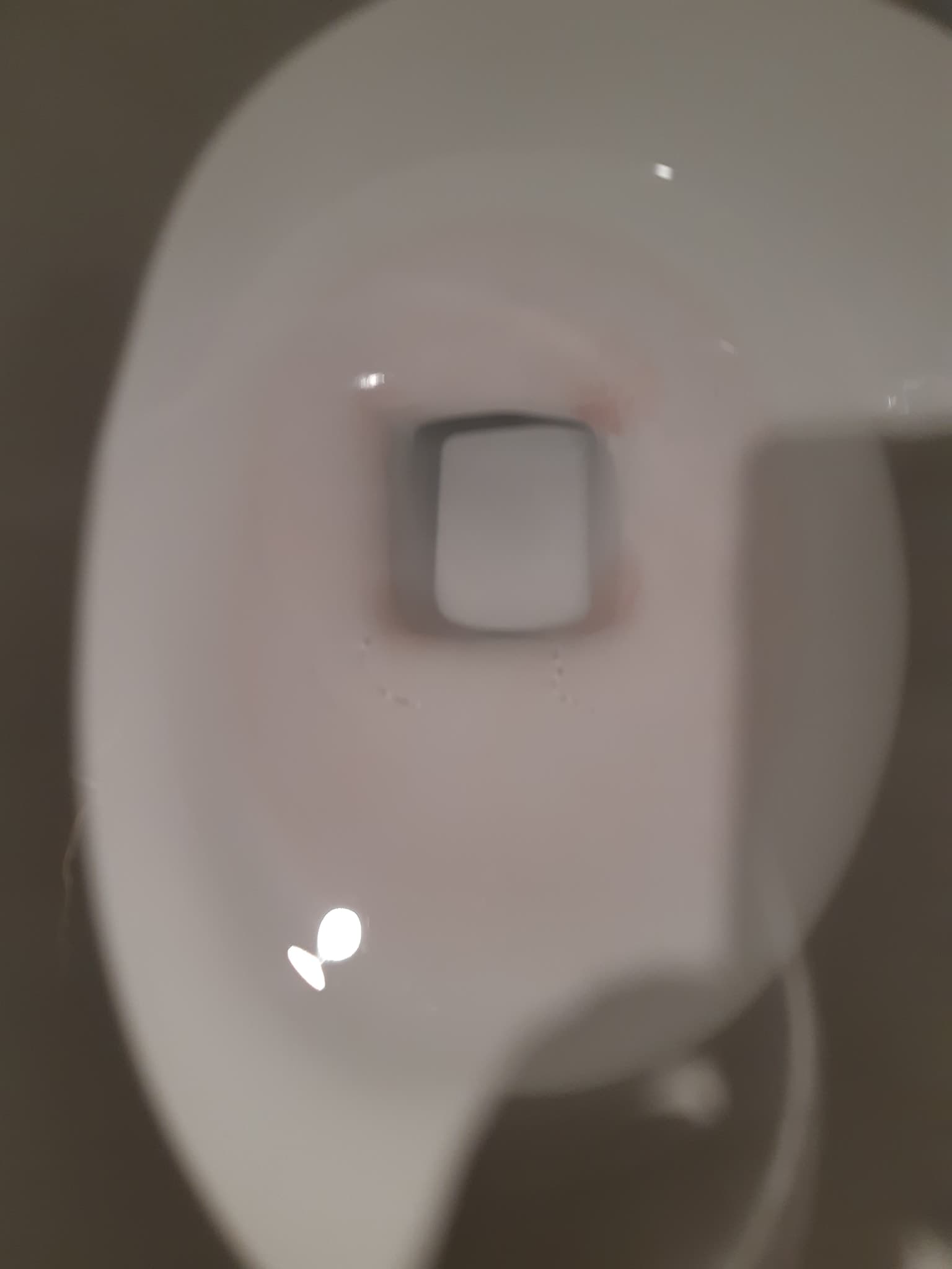 pink stain in toilet bowl