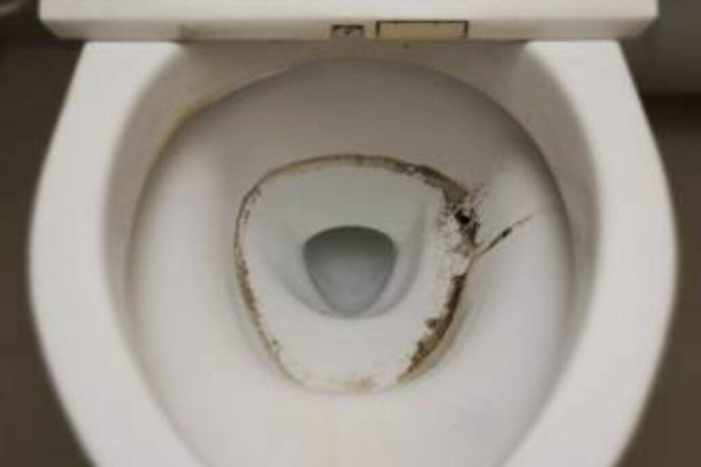 mold, black sediments in toilet bowl