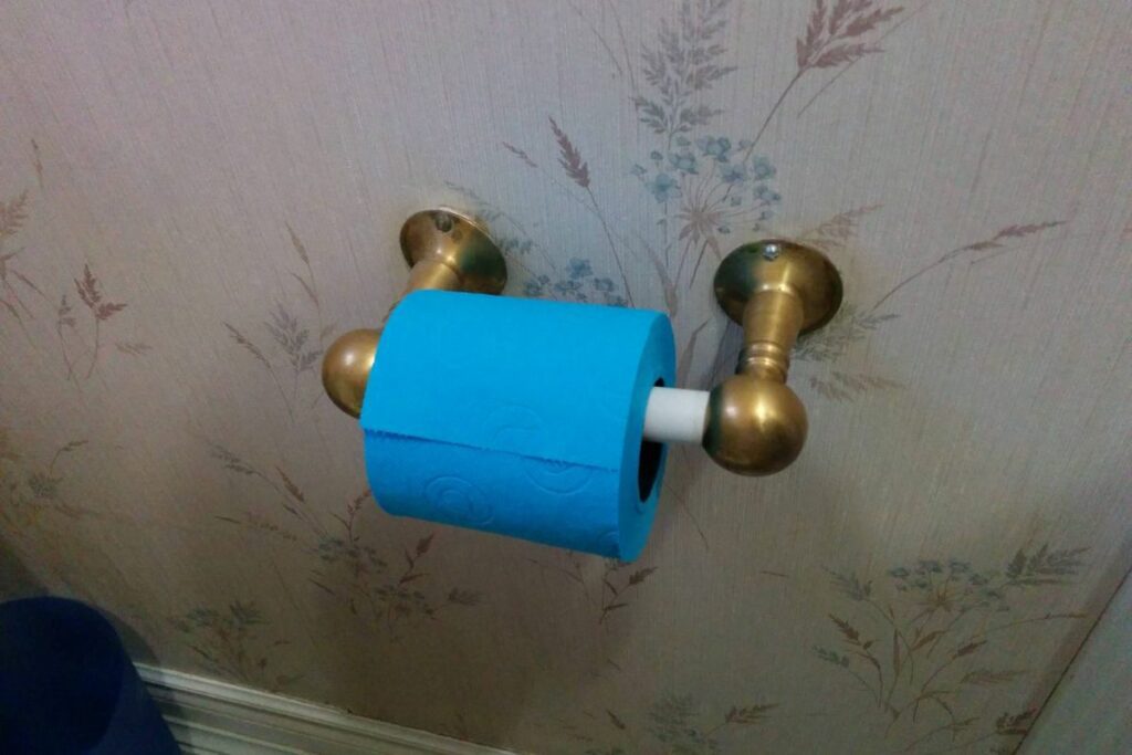 blue toilet paper