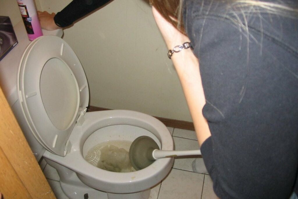 a woman unclogging the toilet bowl