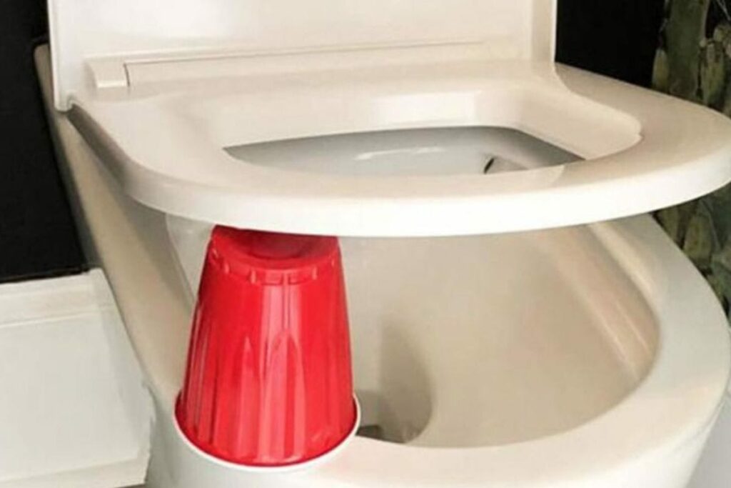 red cup under the toilet seat