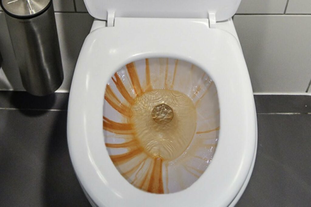 rust stains in the toilet bowl cause by iron-rich water