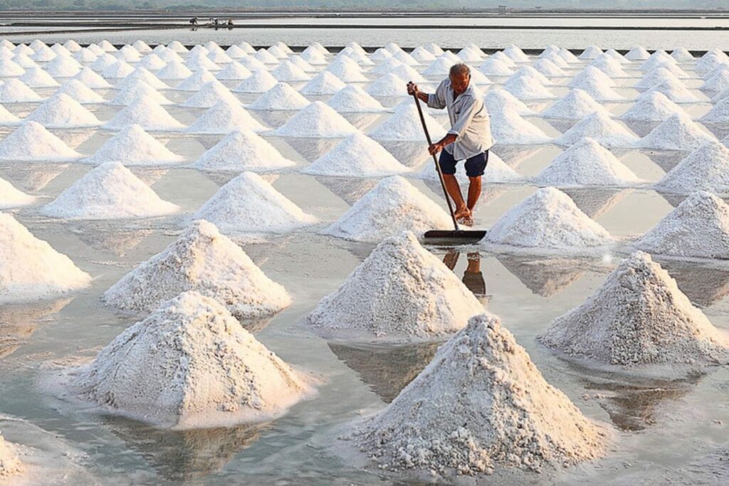 a worker in the salt field
