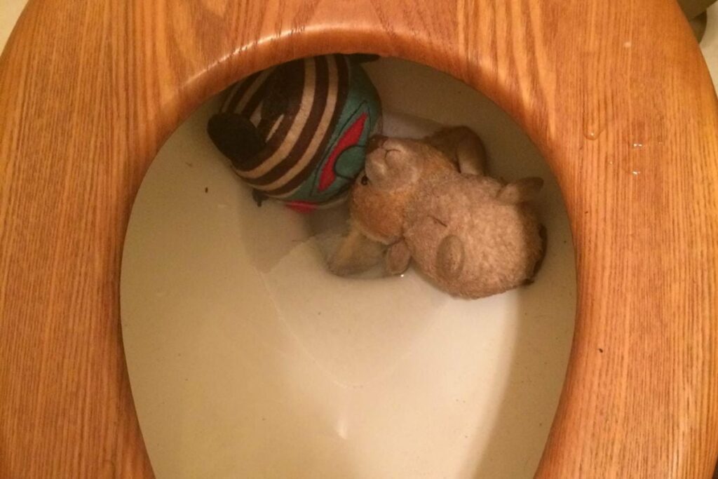 a toy in toilet