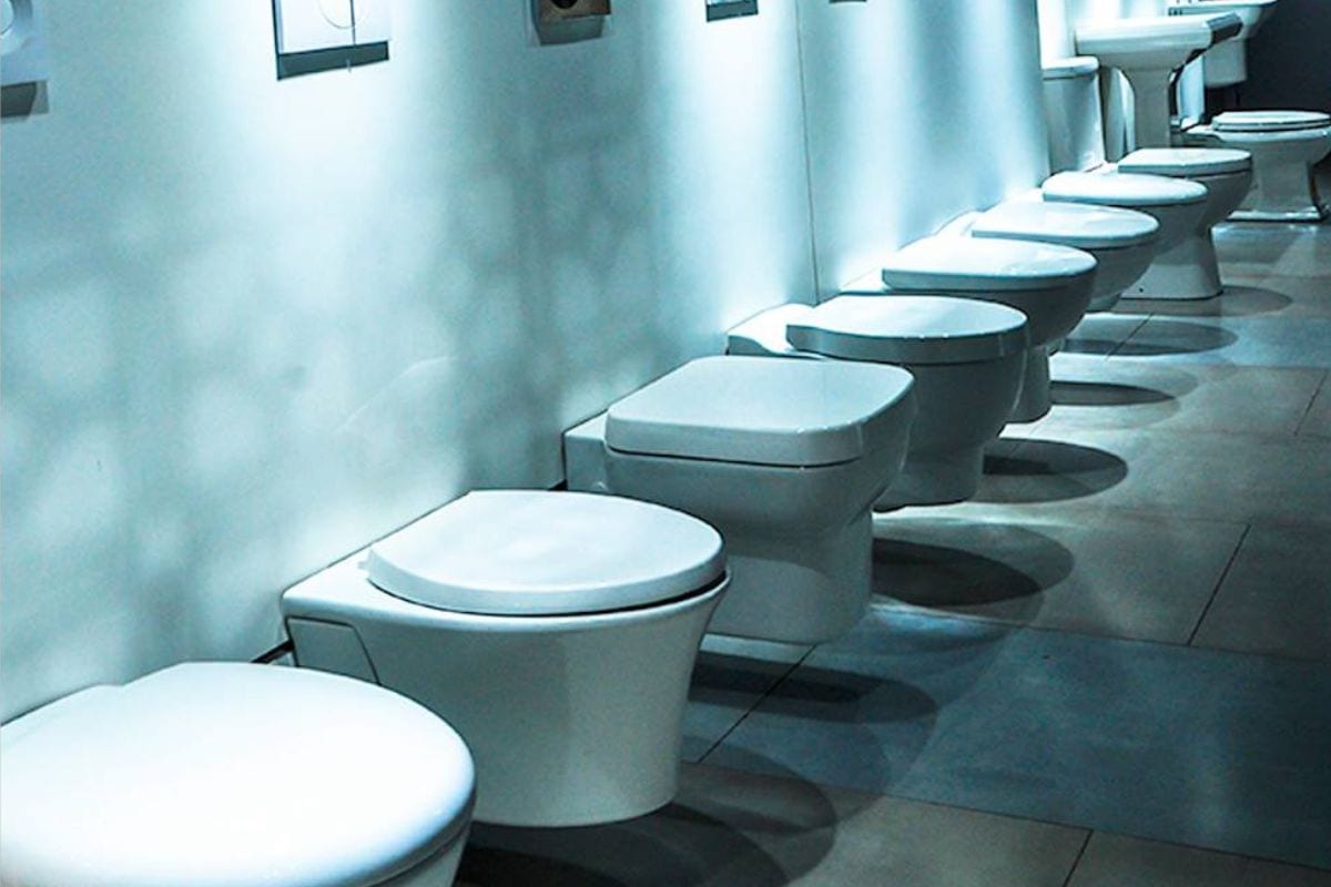 types of toilets