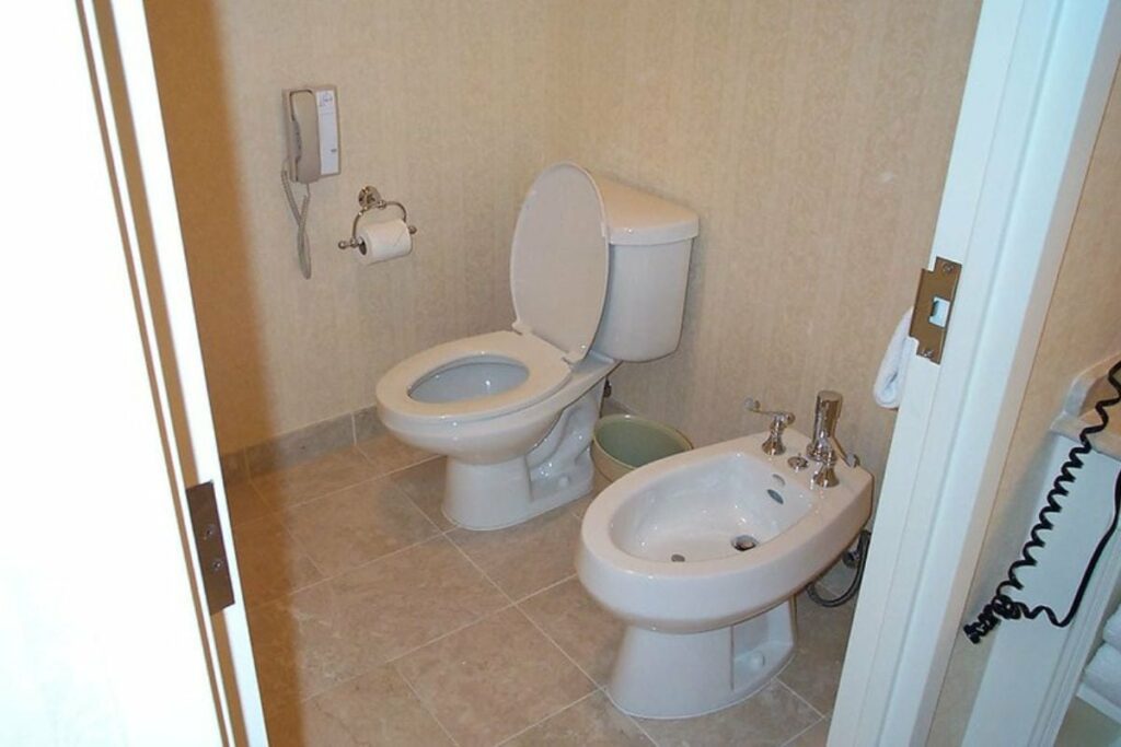 a bidet next to toilet bowl