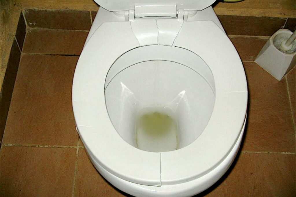 a cracked toilet seat