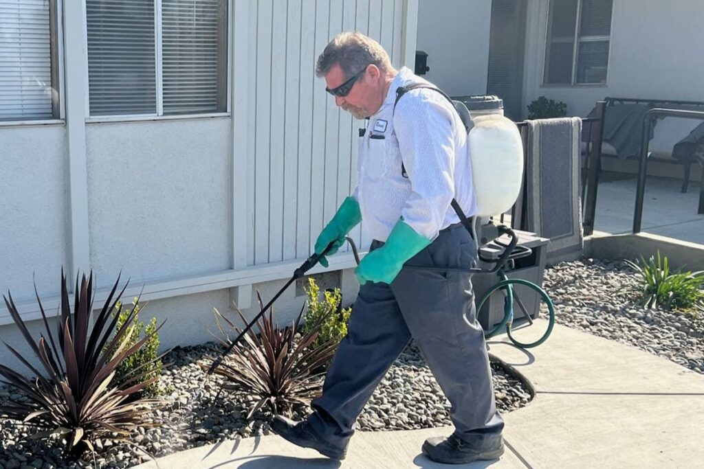 a man spraying pesticide outside the house