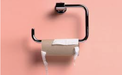 Can You Use Paper Towels as Toilet Paper? 