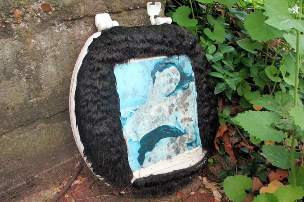 old toilet seat used as decoration in the backyard
