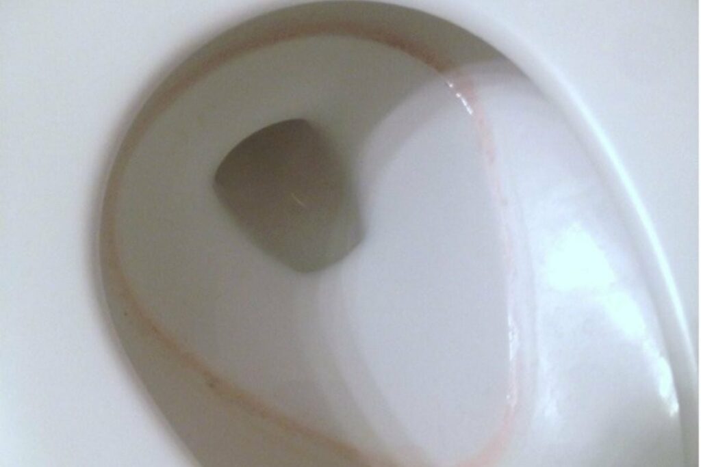 pink ring in the toilet bowl