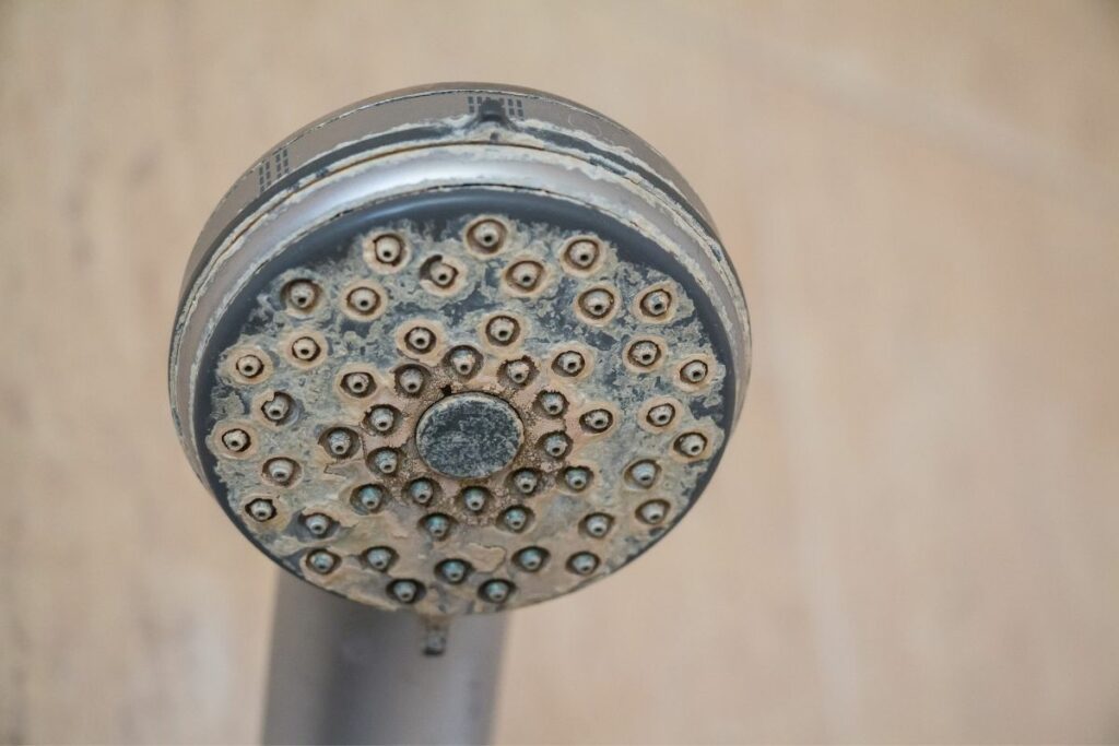 shower head with hard water deposit