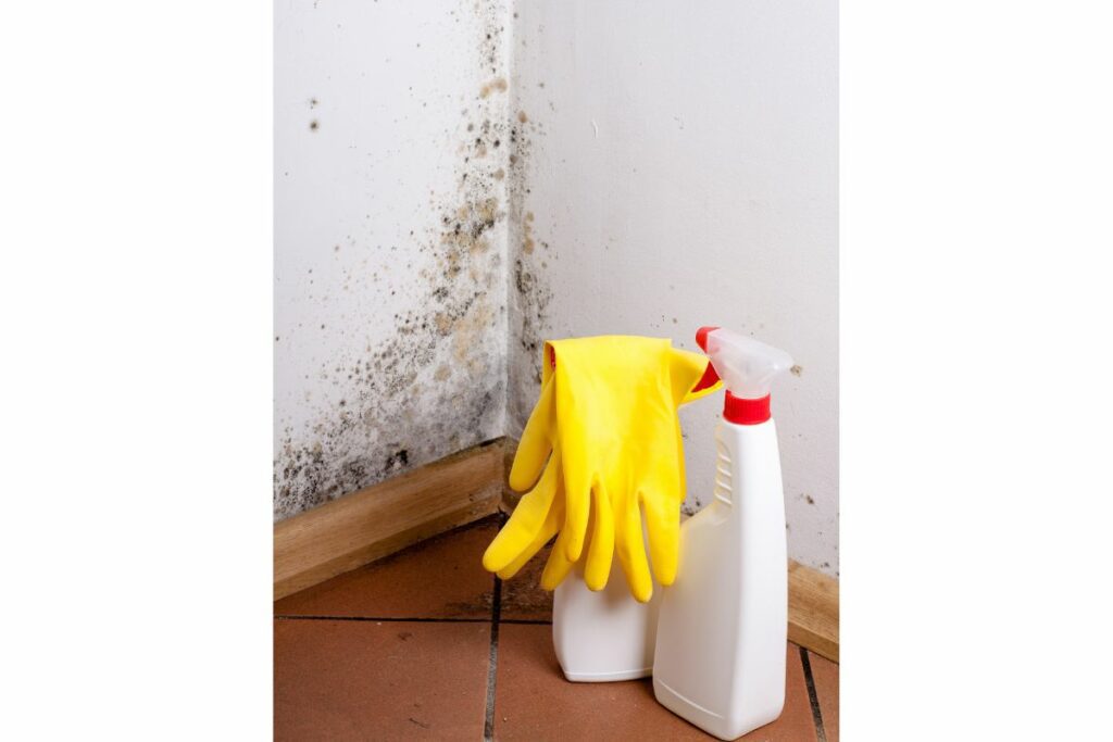 a glove and cleaner on the floor, ready to clean the mold on the wall