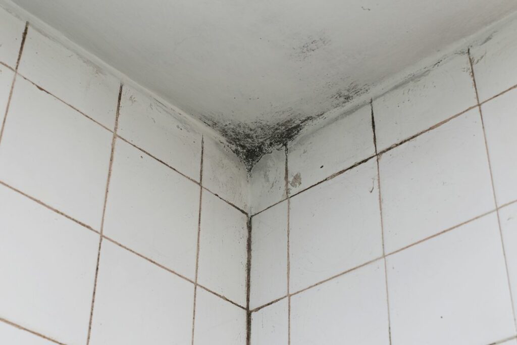 bathroom ceiling with black mold