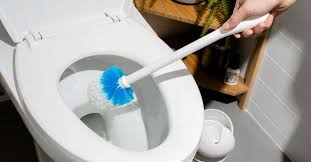 Can You Flush Clorox Toilet Wand?        