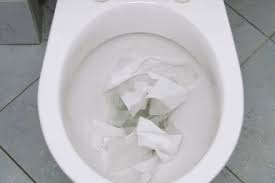 What Dissolves Toilet Paper?